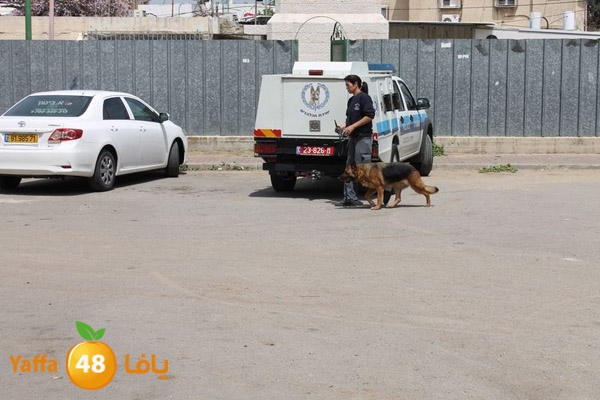 ludpolicedogs411 (4).jpg